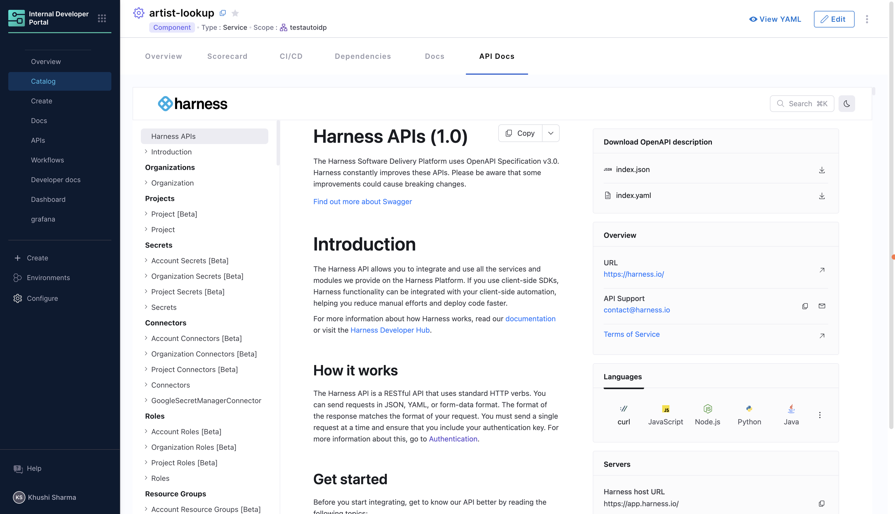 Entity iframe example